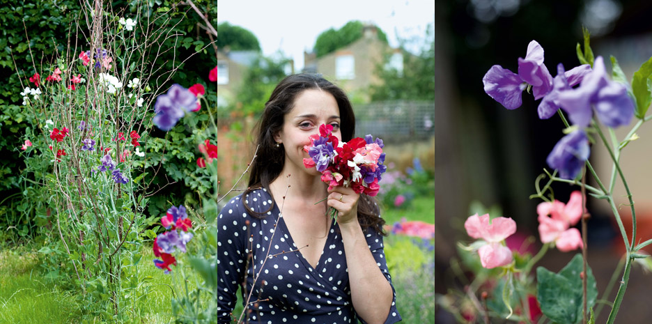 Sweet Peas for Summer / Bloomsbury - Photographs by Jill Mead