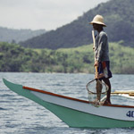 Jellyfish harvest / Palawan - Photographs by Jill Mead